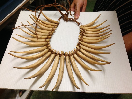 2012-12-11 - Fiji Museum - Traditional garland made from carved whales teeth