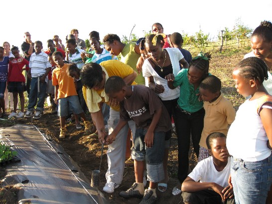 Specialist Huang assists a young student with drilling holes on the plastic sheet so as to plant canteloupe seedlings