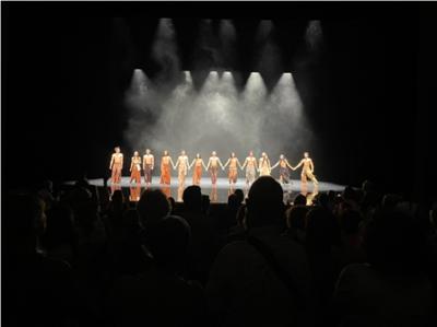 沈處長赴蒙彼里埃市出席該市第44屆舞蹈藝術節活動，觀賞雲門舞集演出並推動台法文化交流事